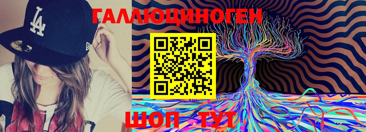 Галлюциногенные грибы GOLDEN TEACHER  Вход с VPN  Галлюциногенные грибы GOLDEN TEACHER  Новороссийск 
