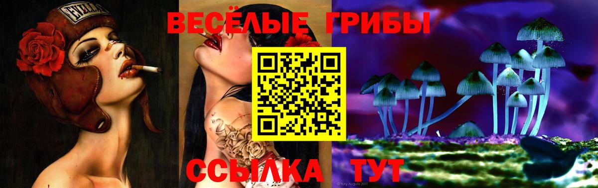 Галлюциногенные грибы ЛСД Новороссийск